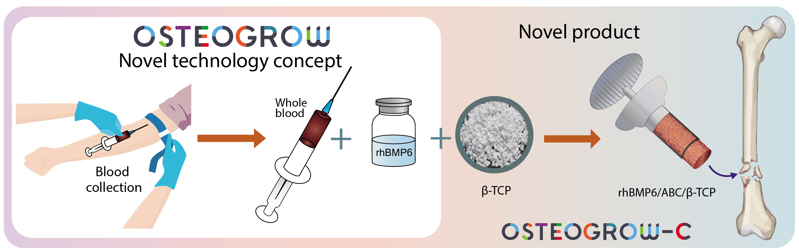 Project summary image